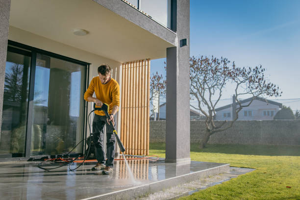 Best Spring Cleaning  in Vamo, FL